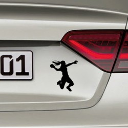 ROKOMETAŠICA Nalepnjica