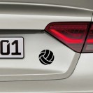 VOLLEYBALL...