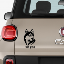 "IME PSA"...